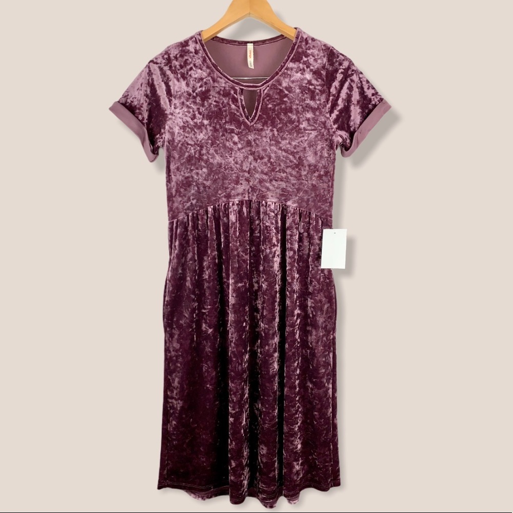 NWT Orange Creek Crushed Velvet Short Sleeve Dress S